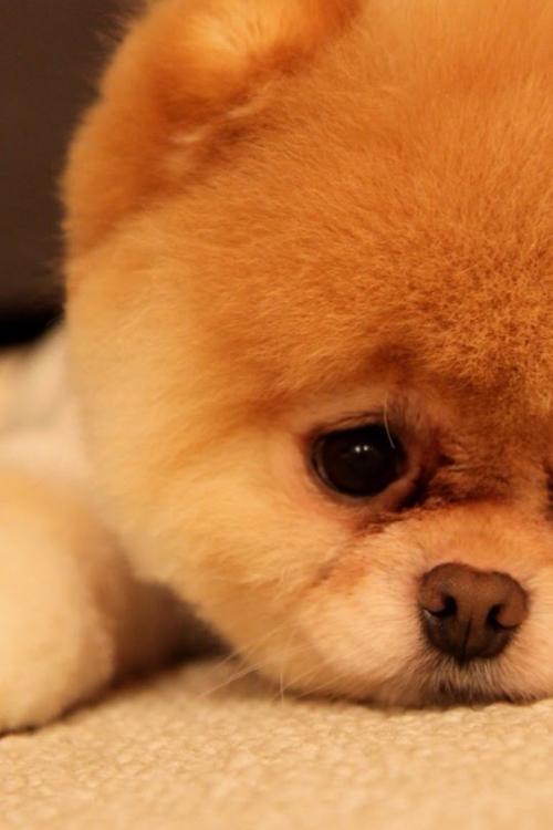 ӭͳ2500˴Ӵܻ˫